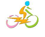 custom mountain bike