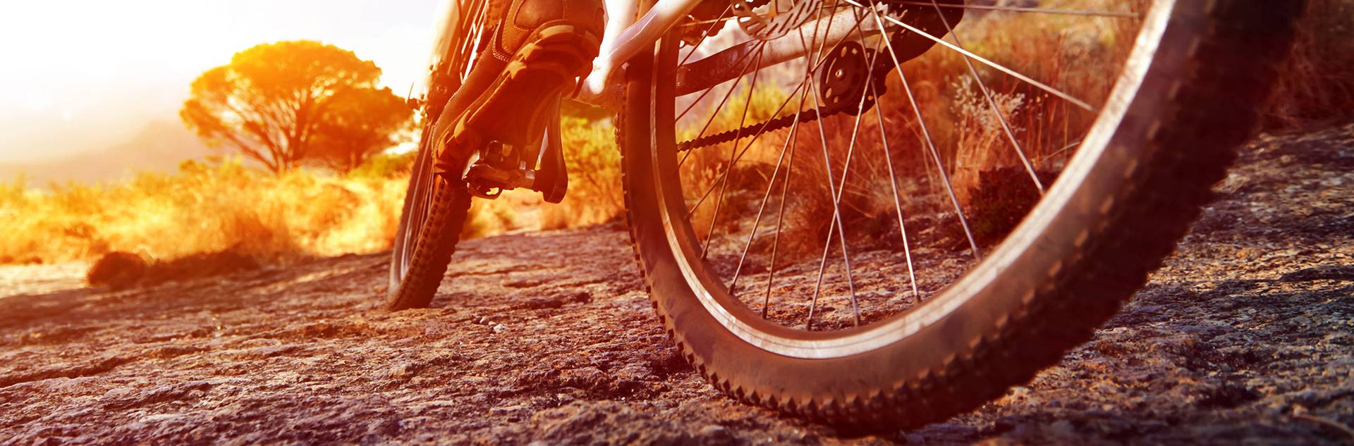 the different types of mountain bikes