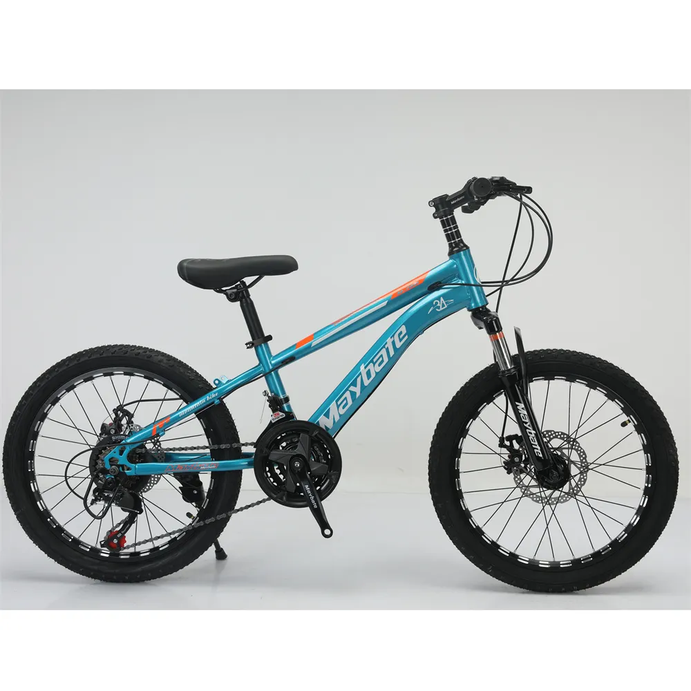 moutain bikes for kids
